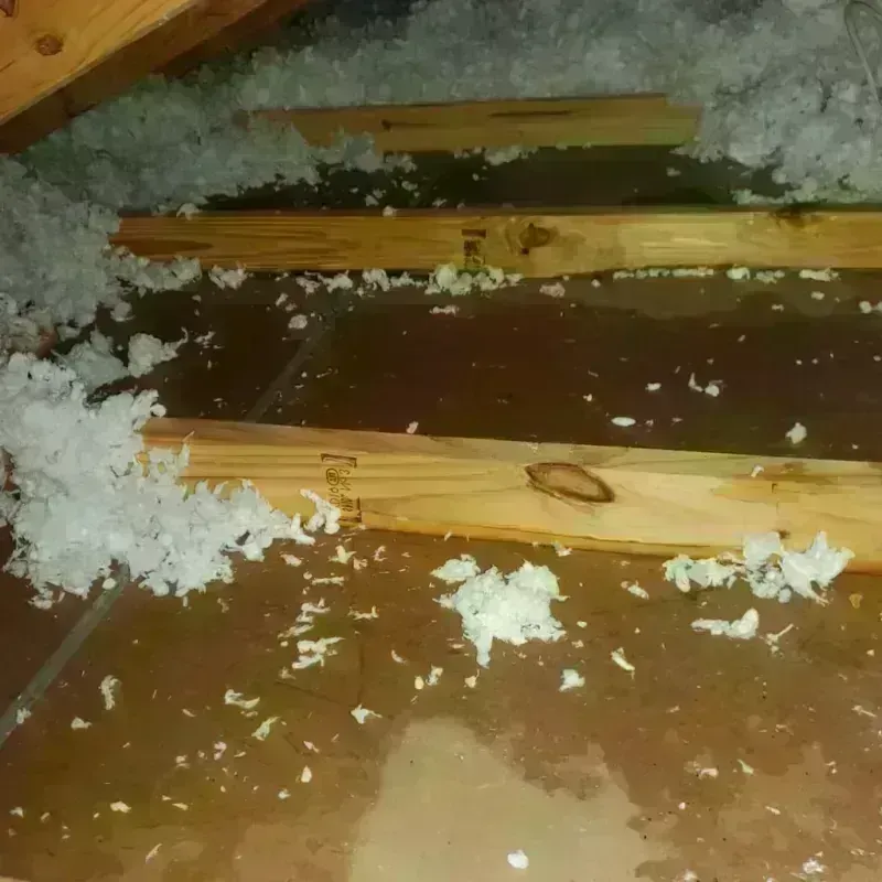 Attic Water Damage in Jamaica Beach, TX